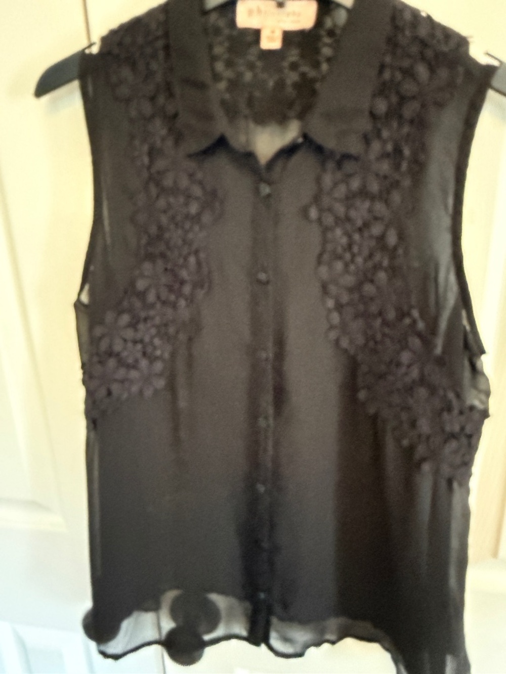 Sheer Black Blouse